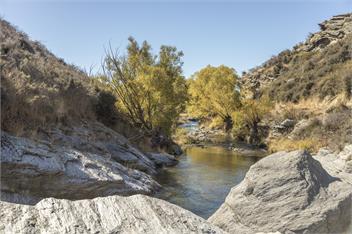 'The Cottage' at Patearoa - Horse and Dog friendly boutique accommodation in Central Otago - PATEAROA