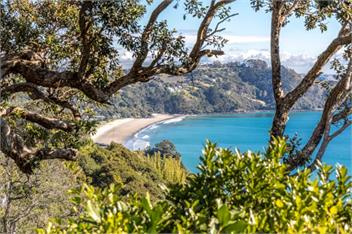 GLASSHOUSE - Waiheke Island