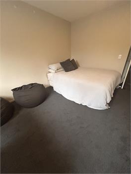 Riverside Oasis - Auckland