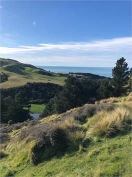Kererū Cottage - Cheviot