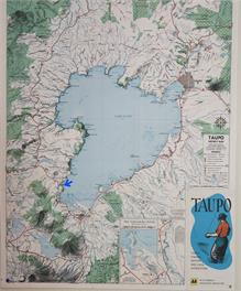 Piwakawaka a Pukawa - Taupo District 