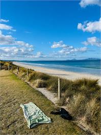 The Beach House Waipu Cove -