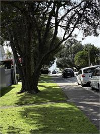 Entire guesthouse Milford Beach Auckland New Zealand - 