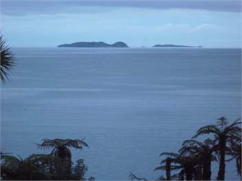 Kamahi Cottage - Halfmoon Bay