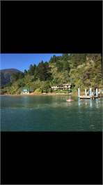 Matuku - Picton