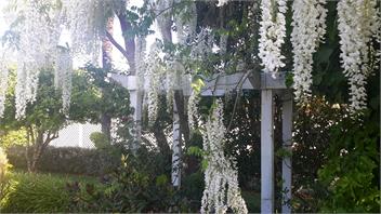 Guthrie Cottage B&B - Hastings