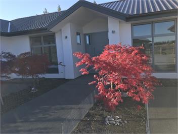 Nice & New - Twizel