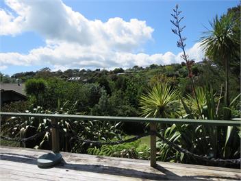 Mill Bay Charmer - Mangonui