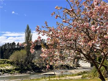 Omatua - Rissington riverside retreat - Napier