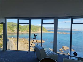 Houghton Starship Enterprise - Wellington