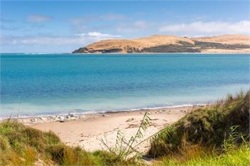 Nest 4 Two - Northland