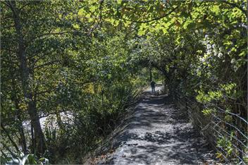 River Walk Cottage - Nelson