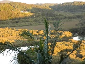 Tree Top Chalet - Whangarei