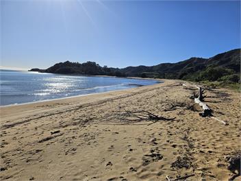 Hop Skip & Jump To The Beach - Takaka