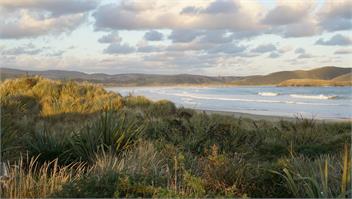 Hideaway Beach Cottage, Curio Bay - Curio Bay