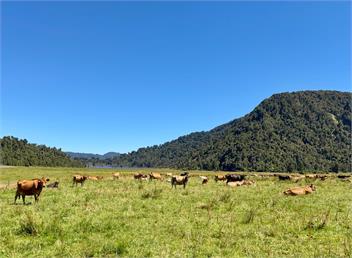Waimanu Guest House - 