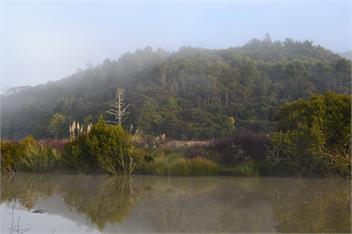 Manuka Views - Close to Thermal Hot Pools -