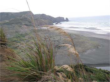 Te Aute Ridge Cottage - Auckland