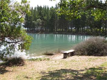 Harry Place Cabin - Tasman Bays