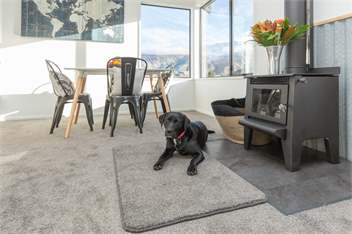 Bo's Bach - Pet Friendly - Wanaka