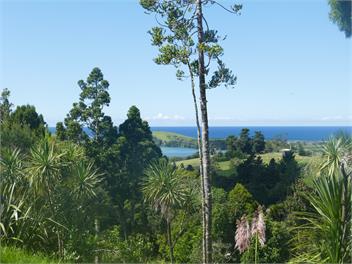 Seaviews, Cedar hot tub, Kayaking, Native Virgin bush - WHANGAREI