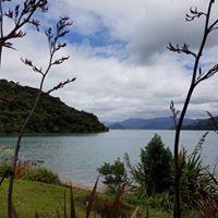 Our Lovelea Place  - Marlbourough Sounds
