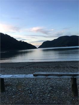 Our Dream Okiwi Bay - Marlbourgh Sounds