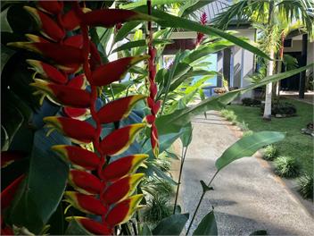 Out of the Blue Fiji - Sunny days Solar Ways - Beach Front Location - Sigatoka