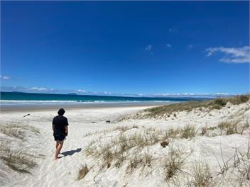 Beachfront Paradise in Ruakaka - Ruakaka