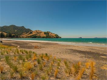 Norma's Place (Bachcare) - Whitianga