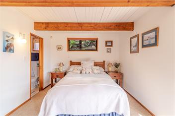 Pointers (Bachcare) - Akaroa