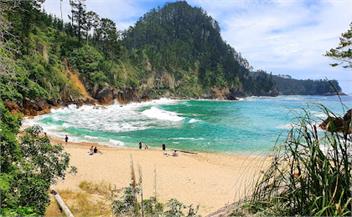 Beaching in the Grove - Onemana