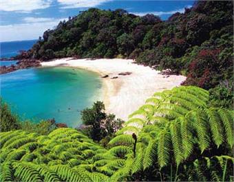Ocean View Sanctuary - Tutukaka Coast - Tutukaka