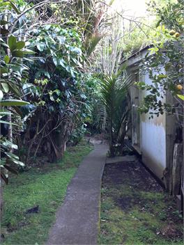 Nikau Retreat - New Plymouth
