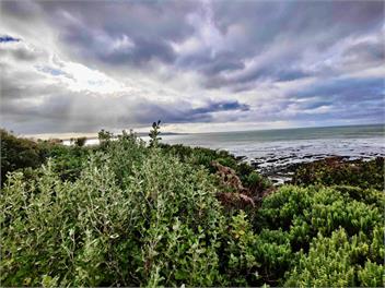 Cosy crib - amazing views, family fun, right by surf beach - Kaka Point