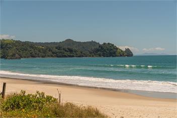 Poppy's Beach House (Bachcare) - Whangapoua