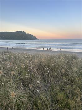 SURF Shack - Whangmata