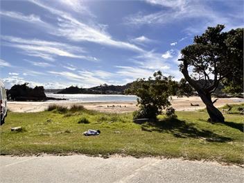 Driftwood Retreat - Whangarei