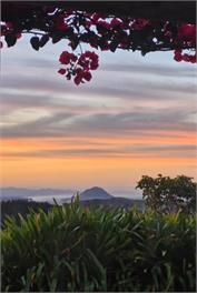"PAPAMOA COUNTRY COTTAGE" -