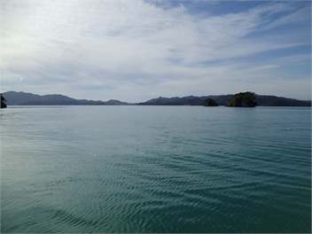 Holiday Home on Moturua Bay of Islands NZ - Russell