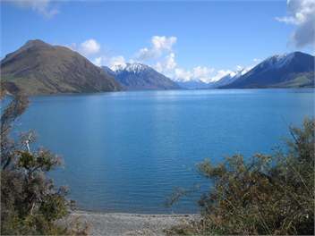 TERRACE DOWNS / MT HUTT - Terrace Downs