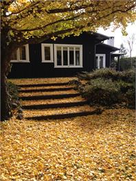 The Fishing Lodge - Turangi