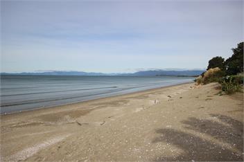 BOB - Pakawau - Absolute Beachfront - Tasman