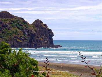 Piha Log Cabin - Auckland 