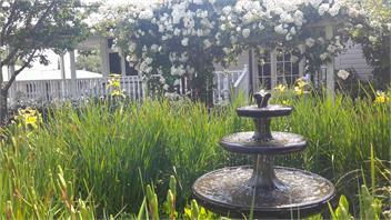 Guthrie Cottage B&B - Hastings