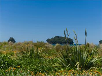 Sandy Doorstep (Bachcare) - Whangamata