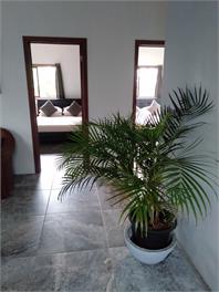 Te Moana Nui Villa - Rarotonga
