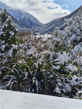 Alpine Cottage - Arthurs Pass