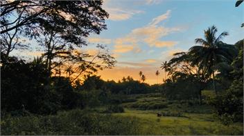 Papa Mauri's Place - Vaimaanga