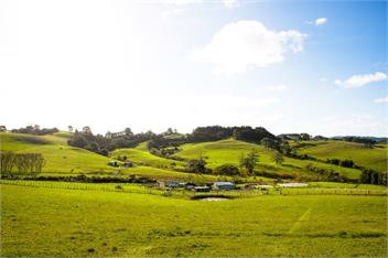 Bever Farm Cottage - North Auckland